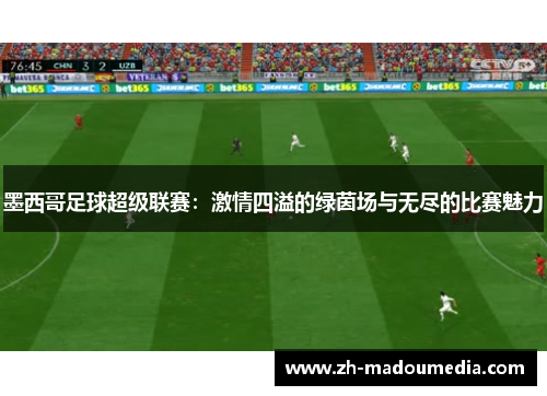墨西哥足球超级联赛：激情四溢的绿茵场与无尽的比赛魅力