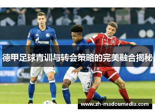 德甲足球青训与转会策略的完美融合揭秘